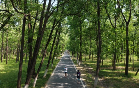kaiyun-万亩林海藏“神仙赛道”，民权马拉松绘就城市新画卷