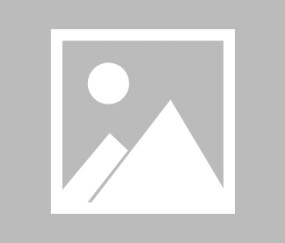 开云-Pablo Torre加盟马略卡：开启信任与期待的新篇章