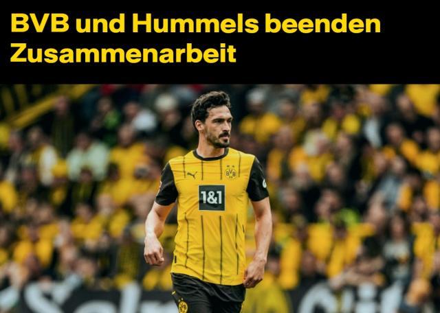 1718377862659019288.jpg 胡梅尔斯.jpg